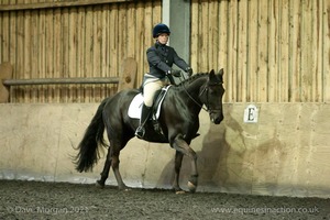 Isis Dressage Crown Farm Show 29th April 2012